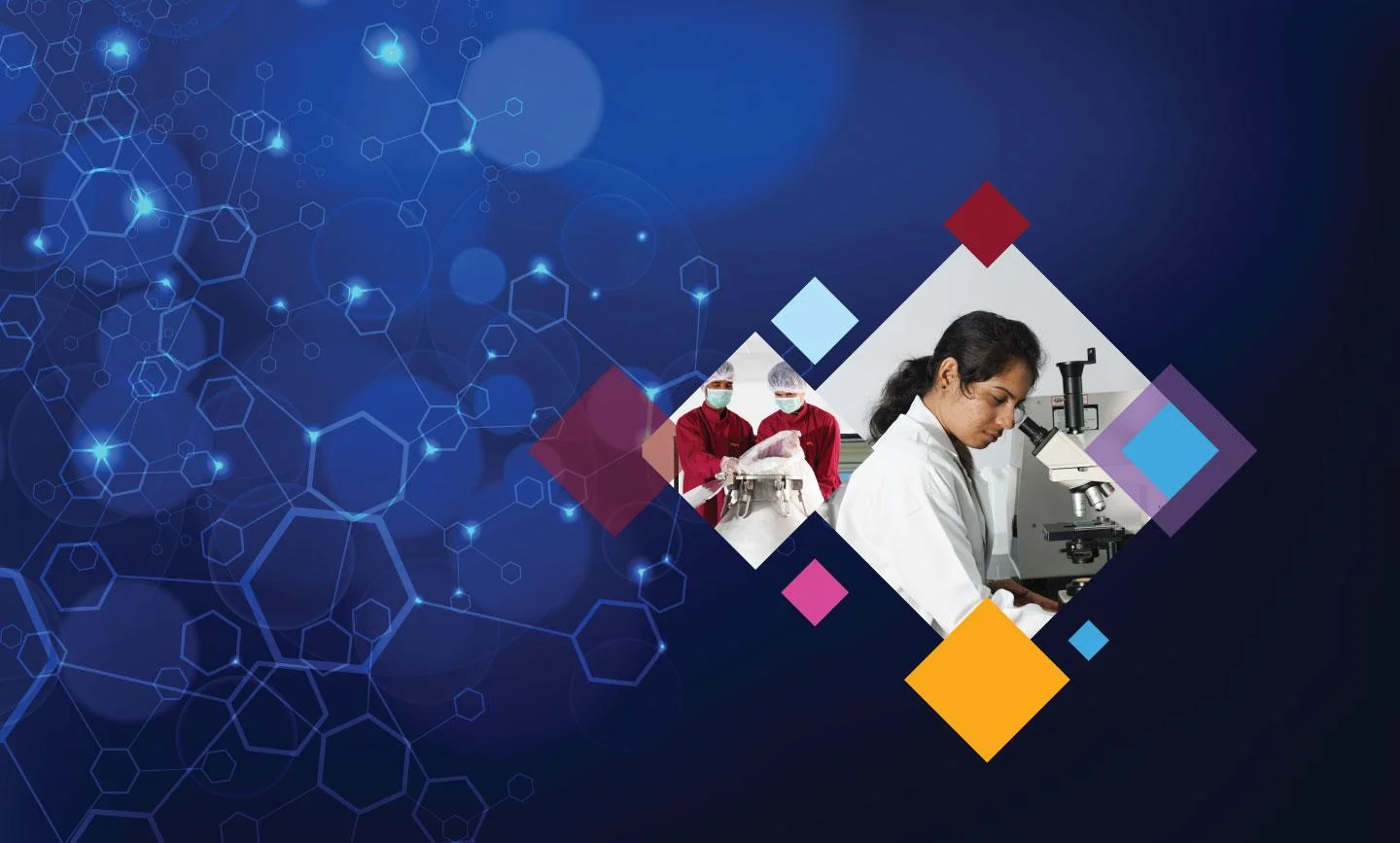 Enzyme Solutions